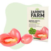 Semillas de tomate pink egg tailandés (Solanum lycopersicum)