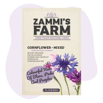 Mix de semillas de aciano (Centaurea cyanus)