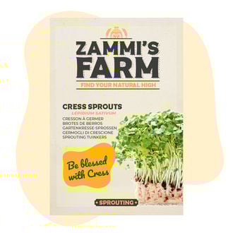 Semillas de brotes de berro (Lepidium sativum)