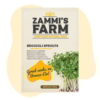 Semillas de brotes de brócoli (Brassica oleracea)