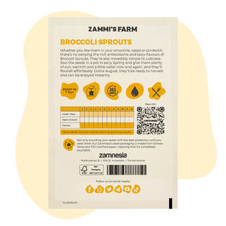 Semillas de brotes de brócoli (Brassica oleracea)
