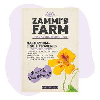 Semillas de Capuchina 'flor individual' (Tropaeolum majus) 