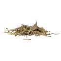 Sinicuichi (Heimia salicifolia) 20 gramos