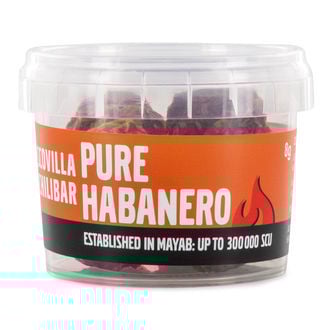 Chilibar XXX-Hot (Scovilla)