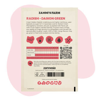 Semillas de rábanos microgreens daikon verdes (Raphanus sativus)