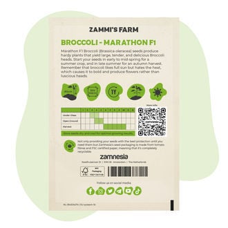 Semillas de brócoli Marathon F1 (Brassica oleracea)