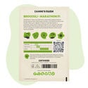 Semillas de brócoli Marathon F1 (Brassica oleracea)