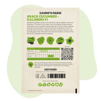 Semillas de pepino Kalimero F1 (Cucumis sativus)