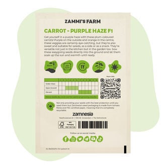 Semillas de zanahoria Purple Haze F1 (Daucus carota L.)