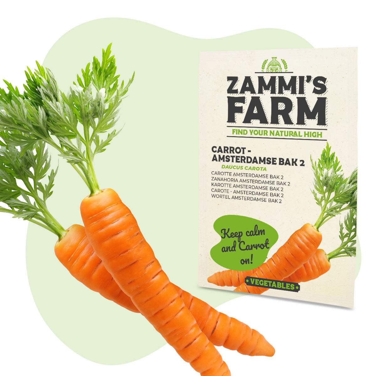 SAFLAX Zanahorias Nantes Temprana Ecológicas – 1500 Semillas Para Ensaladas Dulces Y Crujientes
