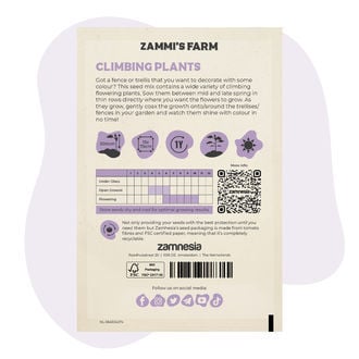 Semillas de flores trepadoras variadas