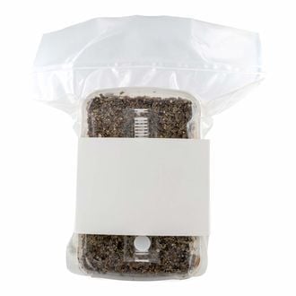 Kit de sustrato esterilizado