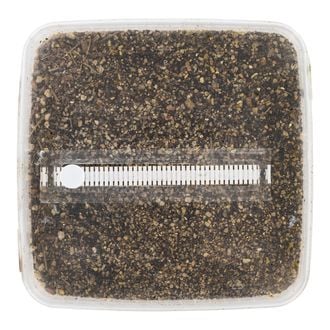 Kit de sustrato esterilizado