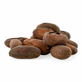 Granos de cacao ecológico crudos
