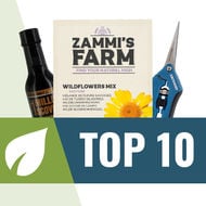 Top 10 Semillas de Plantas