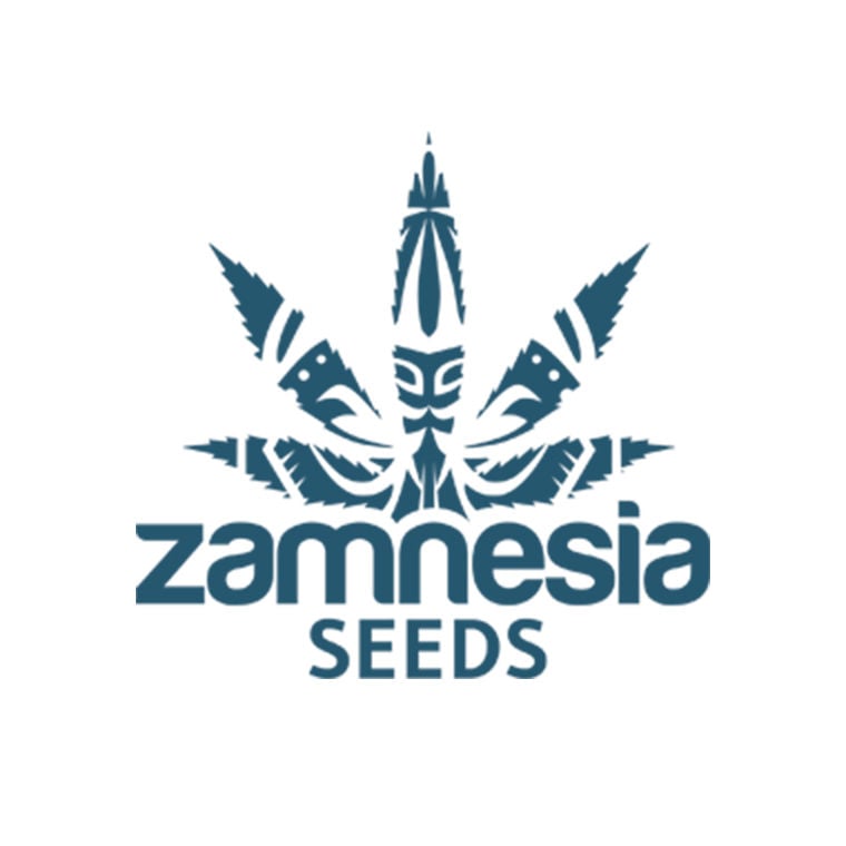 Zamnesia Seeds