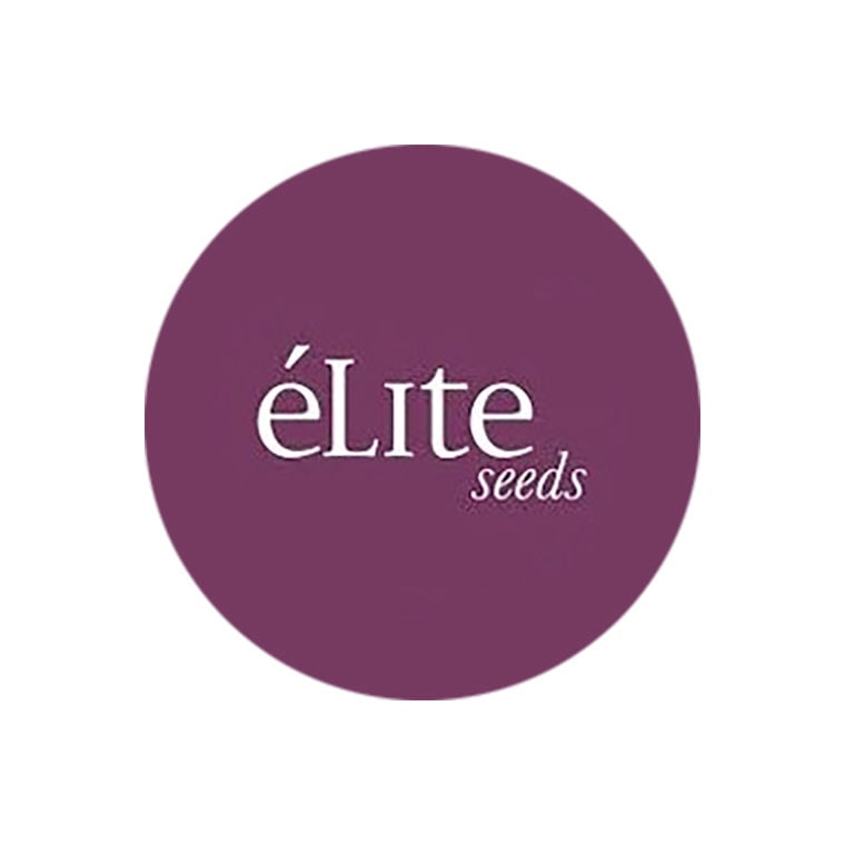 Elite Seeds