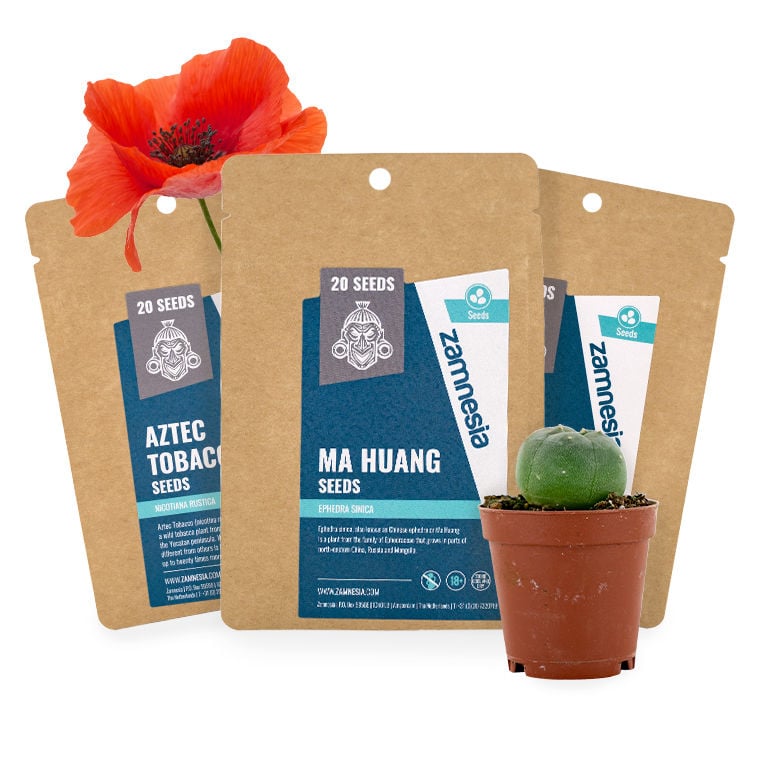 Semillas de Plantas Psicoactivas