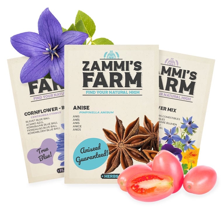 Semillas de Plantas Comestibles