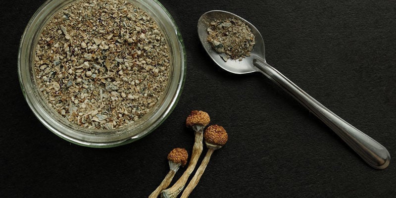 Consumo De Psilocybe Cubensis