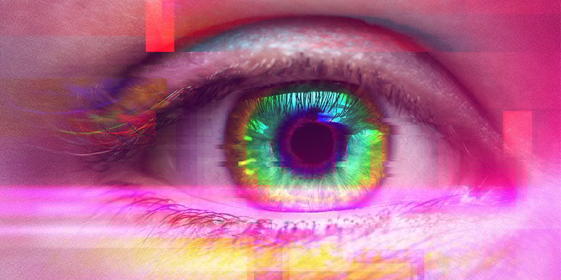¿Qué Efectos Producen Las Setas Psilocybe Cubensis?