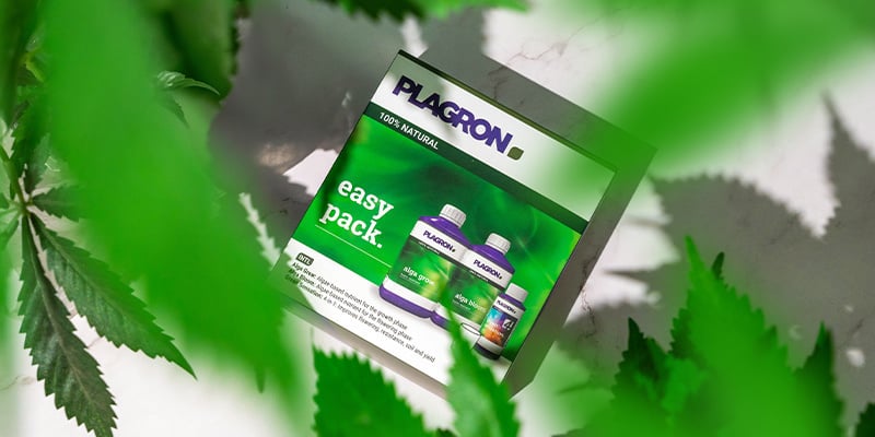 Cultivar de forma ecológica: Más fácil que nunca