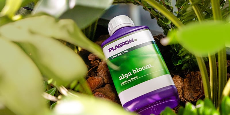 Cómo combinarlo todo: El plan de fertilización ecológica ideal