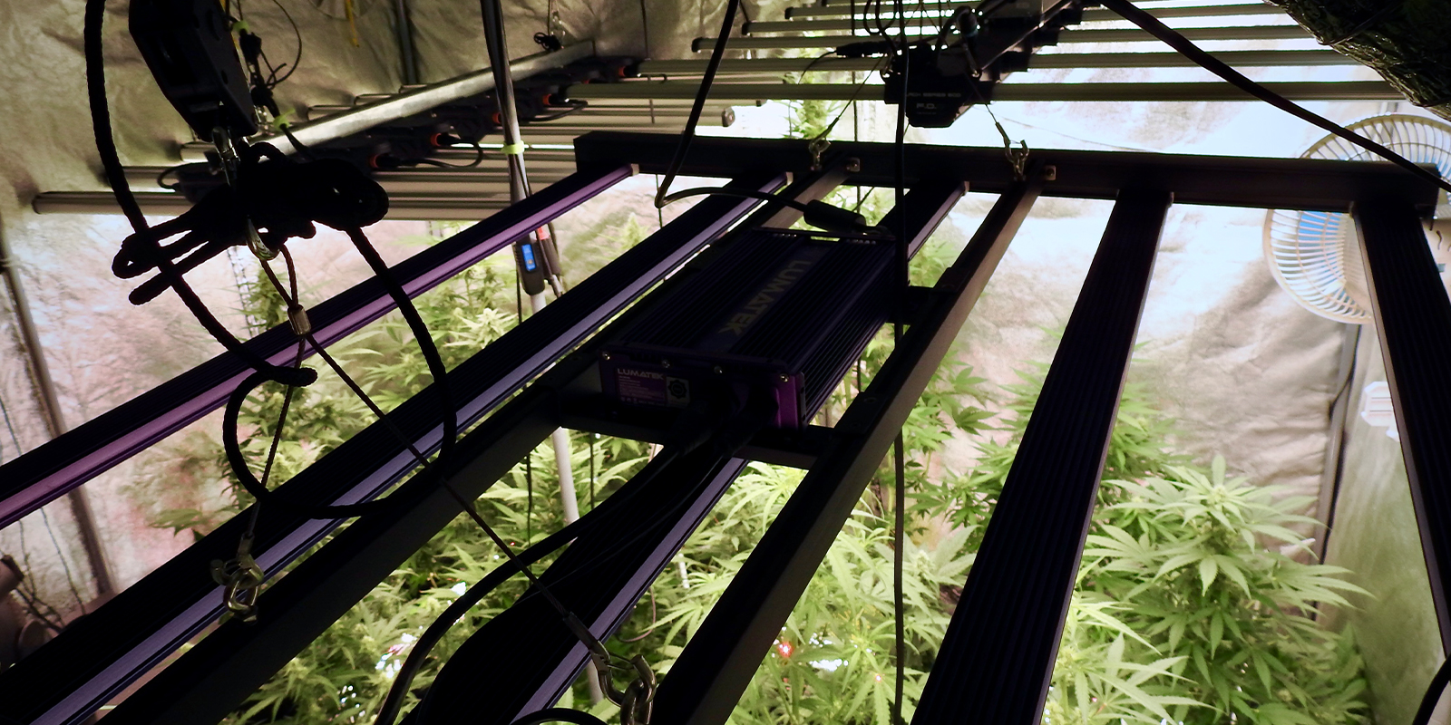 1. Revisa el entorno 1. Revisa el entorno