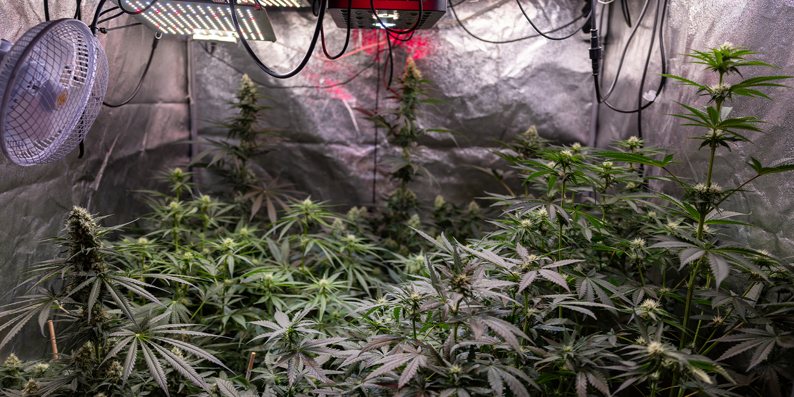 3. Ajusta poco a poco 3. Ajusta poco a poco