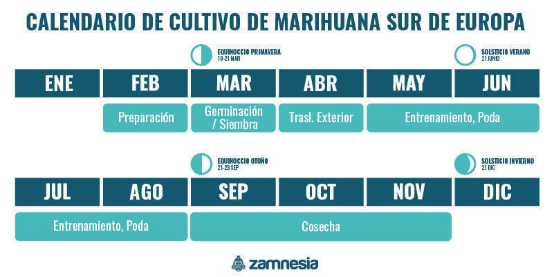 Calendario de cultivo de marihuana para el sur de Europa