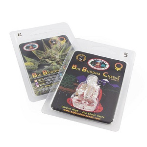 Embalaje de Big Buddha Seeds Embalaje de Big Buddha Seeds