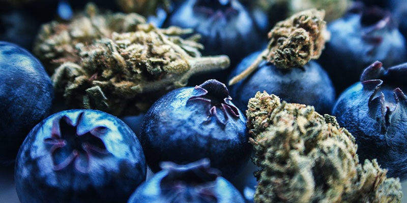 Blueberry: Sabor Y Efectos