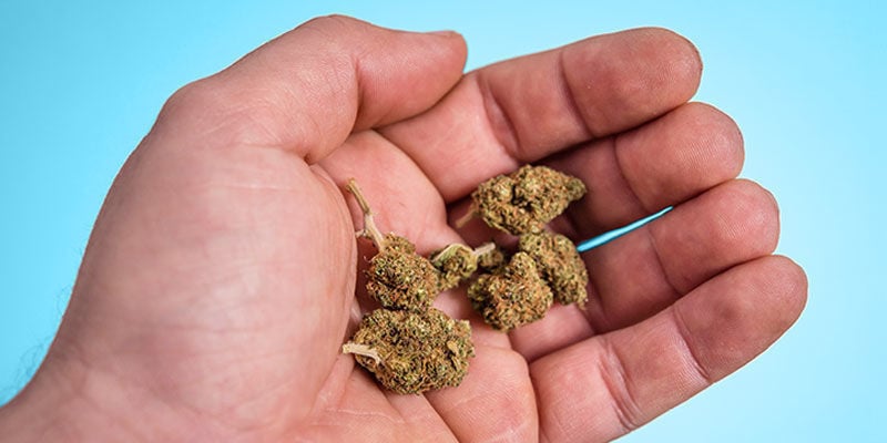 Explicación Científica Sobre La Cantidad De Hierba Que Lleva Un Porro Estándar