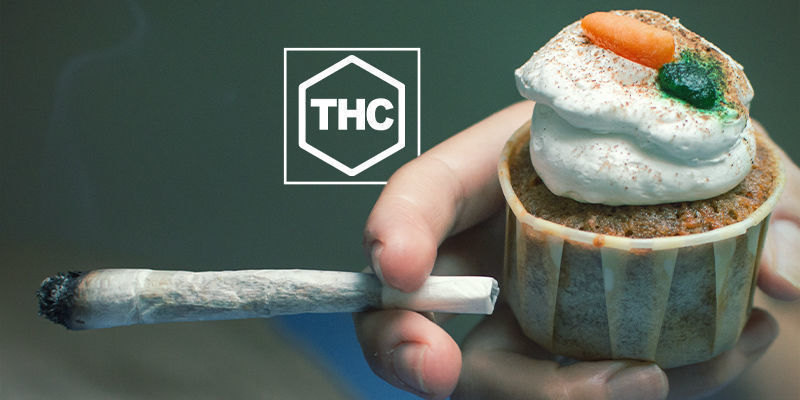 THC Y Producción De Grelina