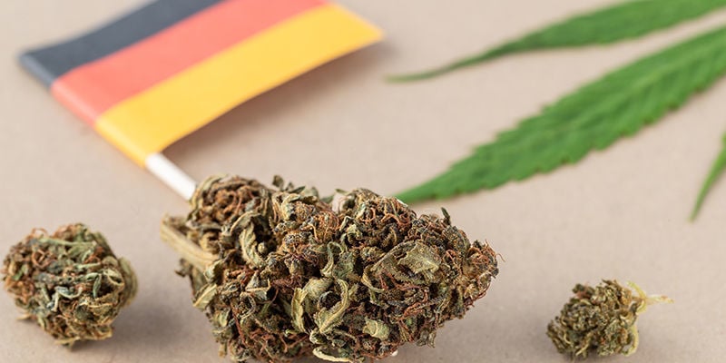 Críticas A La Nueva Ley De La Marihuana En Alemania