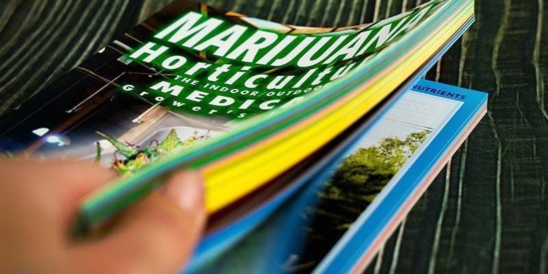 Horticultura Del Cannabis