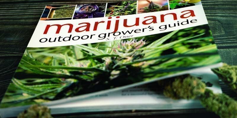Guía Para El Cultivador De Marihuana De Exterior