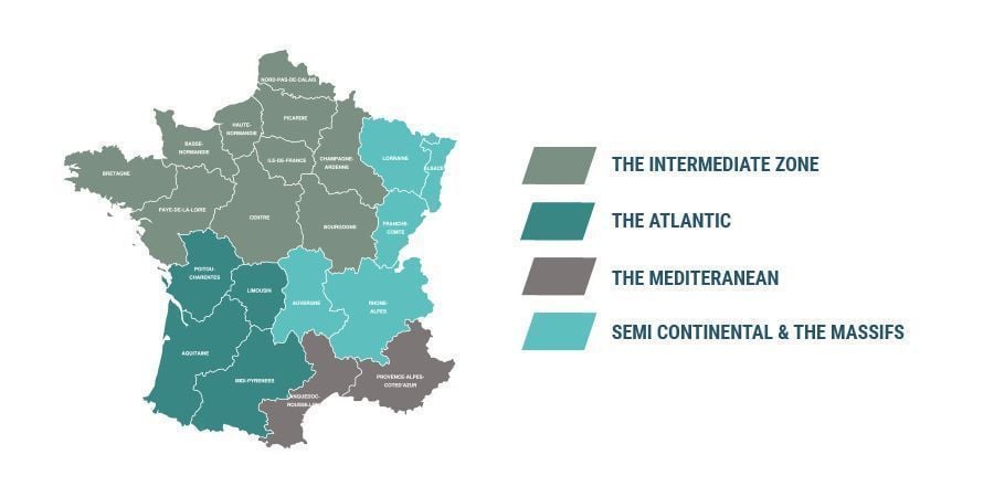 CULTIVO DE MARIHUANA EN EL CLIMA FRANCÉS