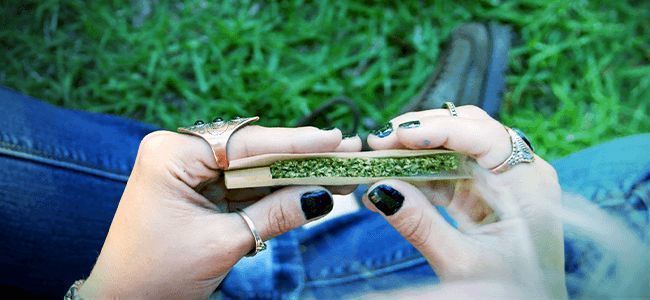 Cannabis Blunt