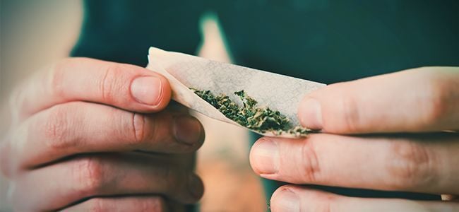 Spliff Tabaco Cannabis