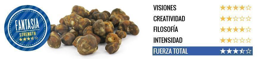 Trufas Mágicas Fantasía
