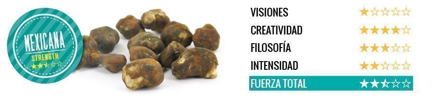 Trufas Mágicas Mexicana