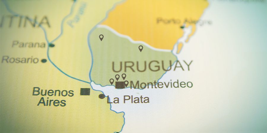 Menos De 20 Farmacias Cuentan Con Una Licencia Para Vender Cannabis En Uruguay