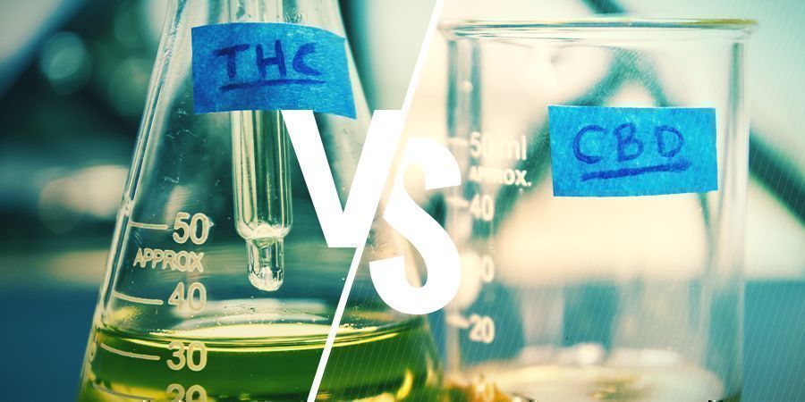 THC Y CBD: ¿Cuál Es La Diferencia?