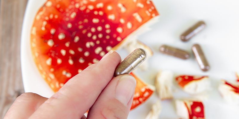 Amanita muscaria