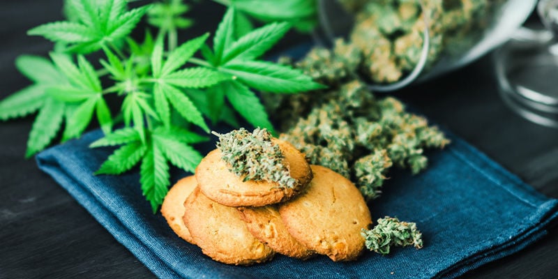 Les Meilleures Variétés Hybrides Pour des Comestibles au Cannabis
