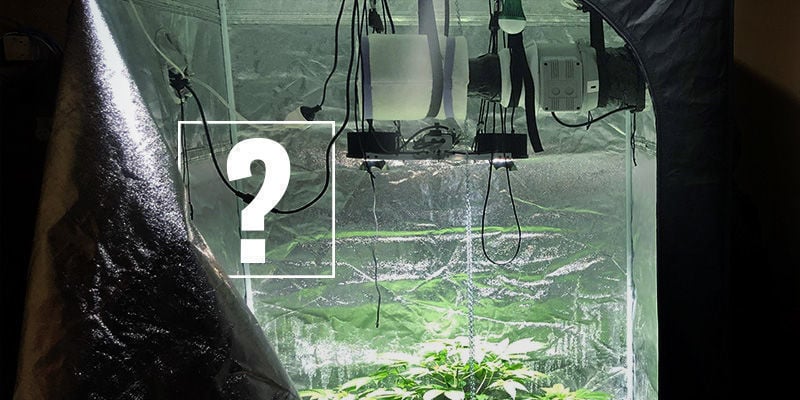 ¿Necesitas Un Filtro De Carbón Para Cultivar Marihuana?