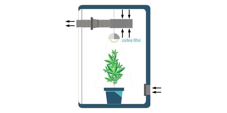 Dónde Colocar El Filtro De Carbón En Tu Cuarto De Cultivo