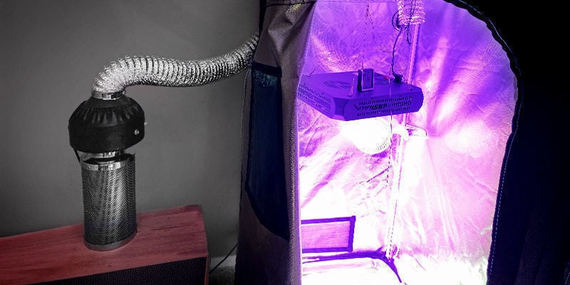 Fuera Del Armario De Cultivo