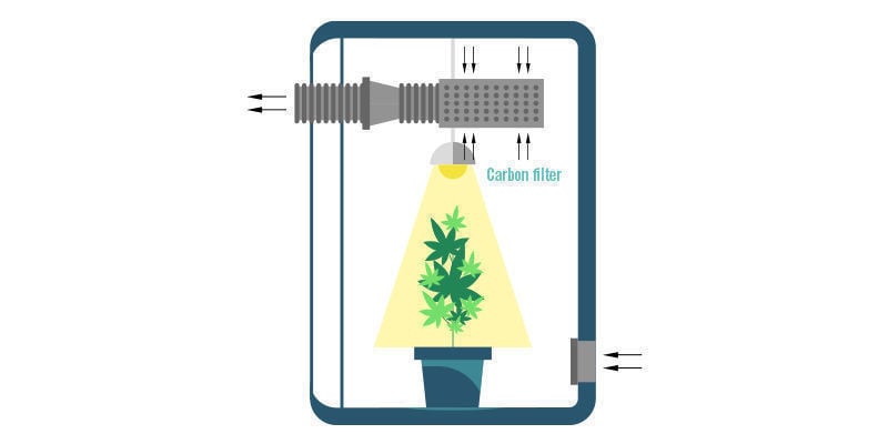 ¿Dónde Colocar Un Filtro De Carbón En El Cuarto De Cultivo?